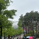 2025 KBO 프로야구 키움vs한화 고척스카이돔 직관 후기 (미래엔데이 행사)