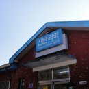 대광리 은행나무 이미지