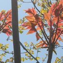 소백한의원 이미지