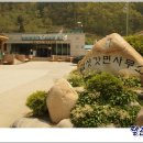 김삿갓면-2 이미지