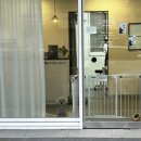 그루머연 이미지