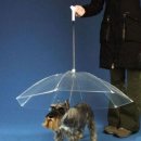 개편한세상 이미지