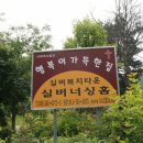 H8273 이미지