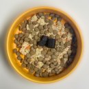 강아지맘마연구소 이미지