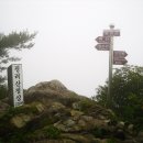 내서읍727 이미지