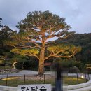 (주)모노프리 | 경기도 광주 단풍성지 화담숲 준비물, 주차비, 모노레일 탑승, 단풍 실시간 후기
