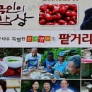 콩쥐팥칼국수
