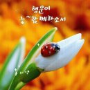 황혼까지 아름다운 사랑 이미지