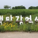 사내체육공원 이미지