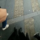 동화다방 이미지