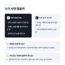 래시 | 여성 보드숏 쇼츠 | 해변 래시가드 | 세일레이싱 MIST 후기