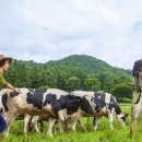 장유목장 이미지