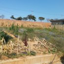 태신부동산 공인중개사사무소 이미지