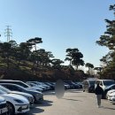 공간 | 청주대형카페 크리스마스 분위기 뿜뿜인 베이커리카페 공간 후기