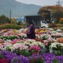 맑은샘농장 이미지