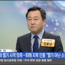 모양새