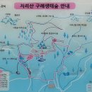 지리산 구례 산동 '지초봉' 이미지