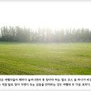 ‘놀멍 쉬멍 걸으멍~’ 건강하게 오르는 제주 오름 이미지