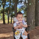 궁평항로 이미지