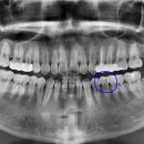 달서연합정형외과의원 이미지