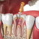 골드치과의원 이미지