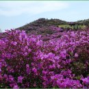 인산목장 이미지