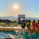 고고링 키즈풀빌라 이미지