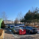 성저테니스장 | 일산 대화동 성저 테니스장 간단 후기