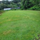 황산골프연습장 | 골프레슨 황산골프연습장 논산 등화동 가격 위치 주소 주차 후기 추천