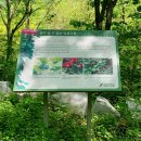 수목 비교 관찰원 이미지