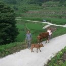 지리산골 이미지