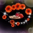 성안장수원 이미지