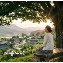 여름나무 이미지