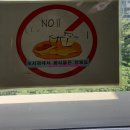 글빛정보도서관 화장실 네이버블로그
