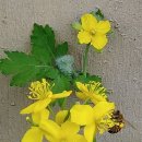 삼주세탁소 이미지