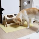 꼬뺑PC 네이버블로그