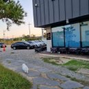 복덩이네 강아지 이미지