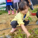 윤가농장 이미지