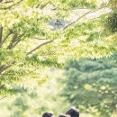 통영스토리 이미지