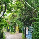 사파동284 이미지