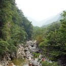 무릉계곡 이미지