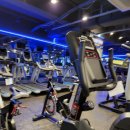 광영스파렉스 이미지