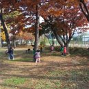 서룡초등학교(병설) 이미지