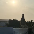 연수네농장 이미지