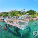 묵호항 자연산 수산물 판매시장 이미지