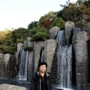 그루터기 이미지