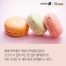 스토리쿡