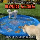 도그에이드 | 단독 애견카페 자연마당 도그필드 내돈내산 후기