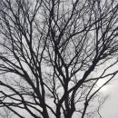 성곡보건진료소 이미지