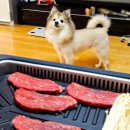 두찜 동대문 답십리점 | 3월일상 :-^)